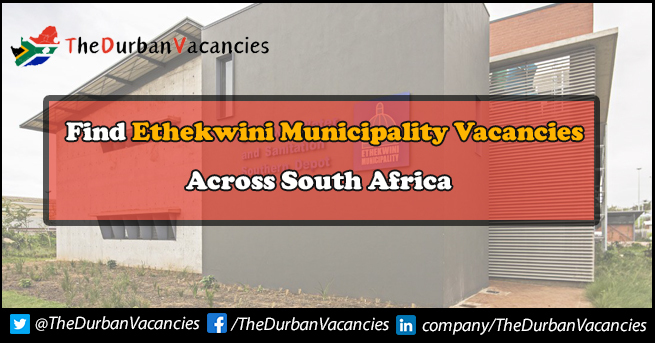 eThekwini Municipality Vacancies 2024 PDF Download Ethekwini Municipality Vacancies