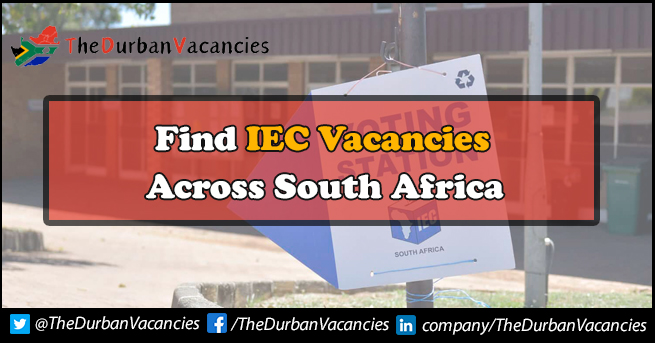 IEC Vacancies Opportunity For Candidates | Apply Online IEC Vacancies