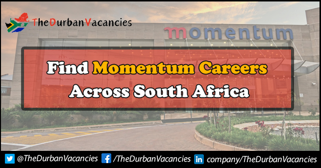Momentum Careers | Positions Are Available For Freshers Momentum Careers