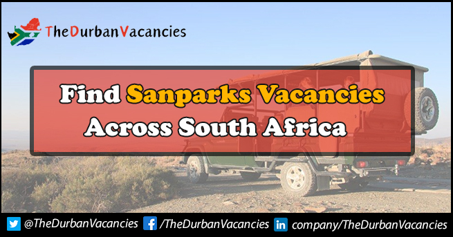 Sanparks Vacancies | Positions Are Currently Available For Professionals Sanparks Vacancies